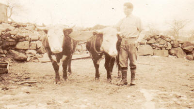 Emerson with his white face steer