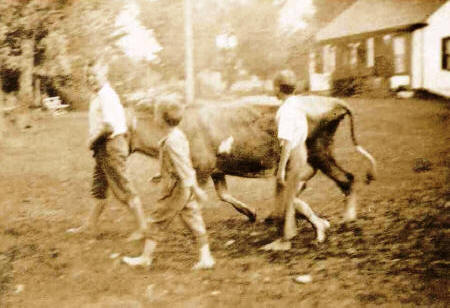 Summer 1917 - George M. Rogers